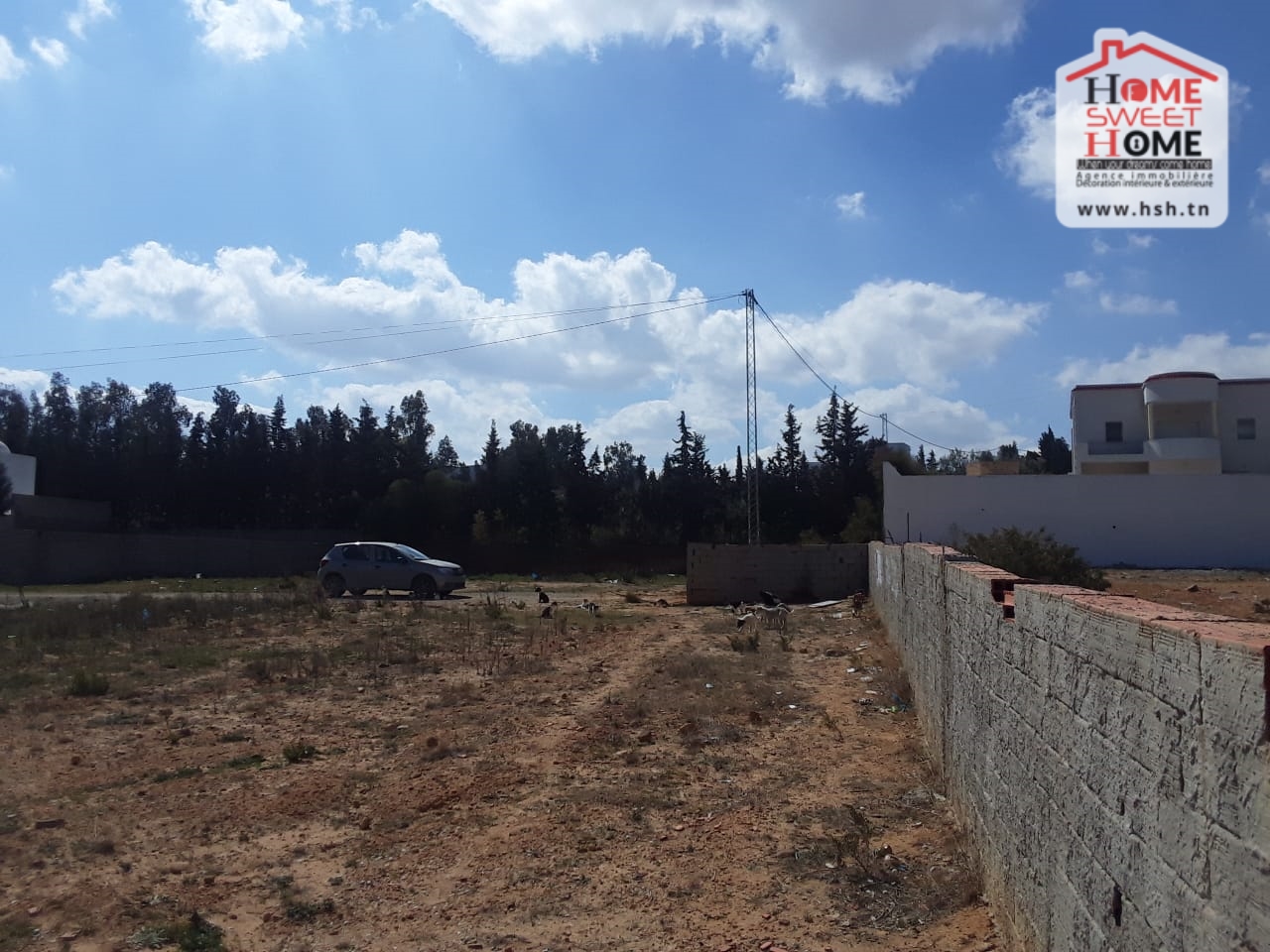    Terrain khaki à hmma à Nabeul - Photo 4
