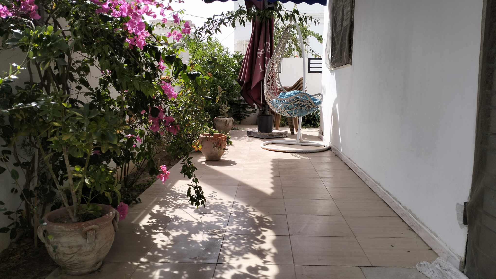  Terrain de 649 m² à vendre à Hammamet 51355351 