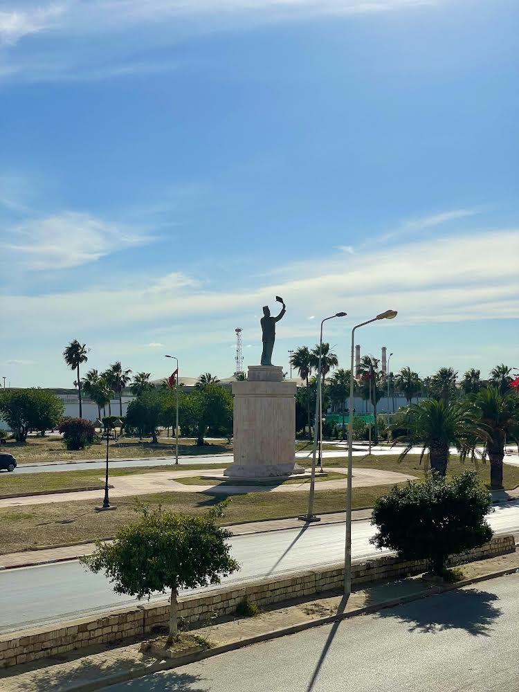  Un s+3 meublé aux jardins de Carthage , référence 102A . 