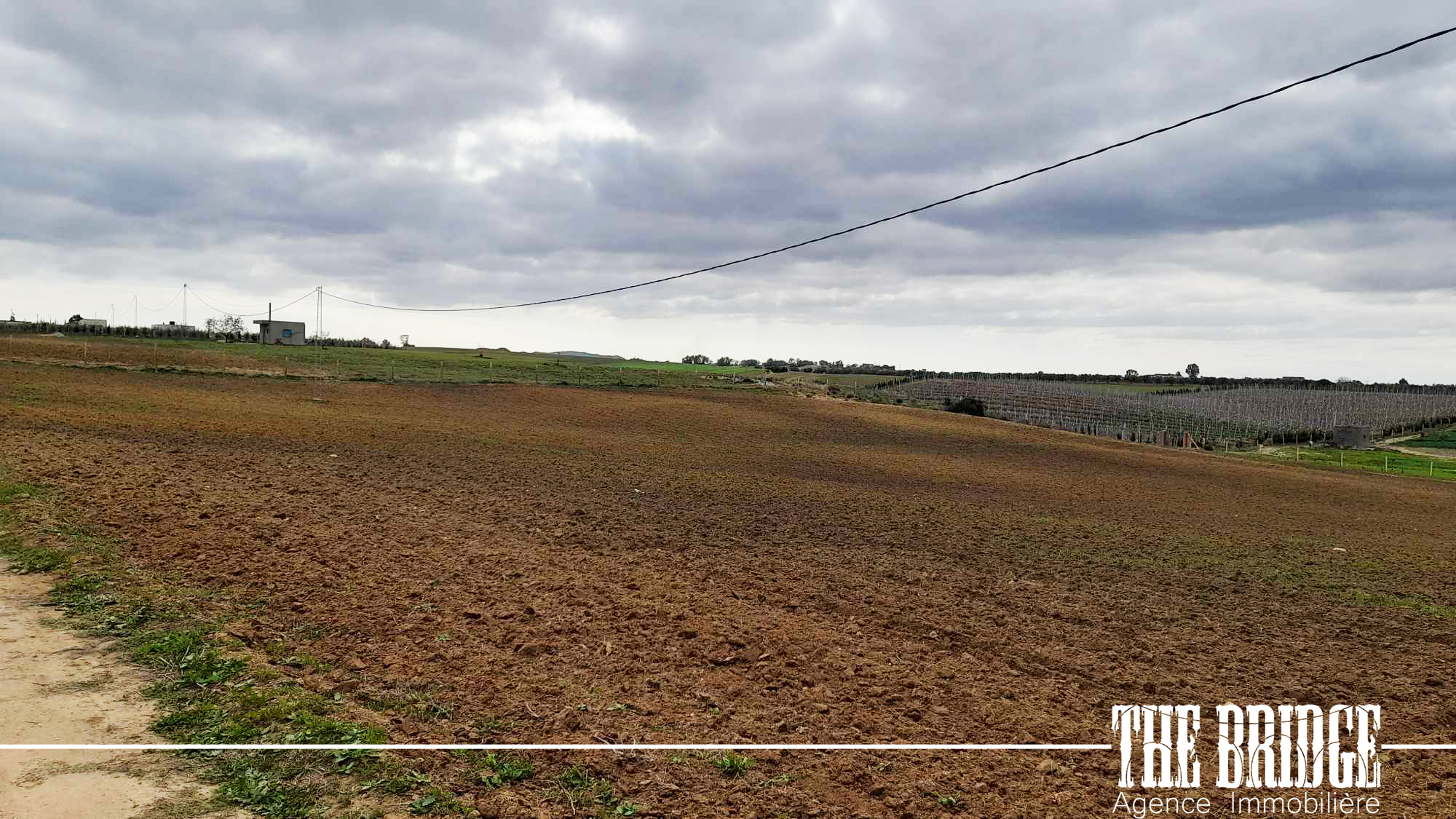     11 500 mc nu à boua à Nabeul - Photo 1