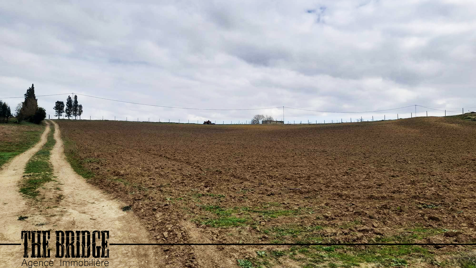     11 500 mc nu à boua à Nabeul - Photo 2