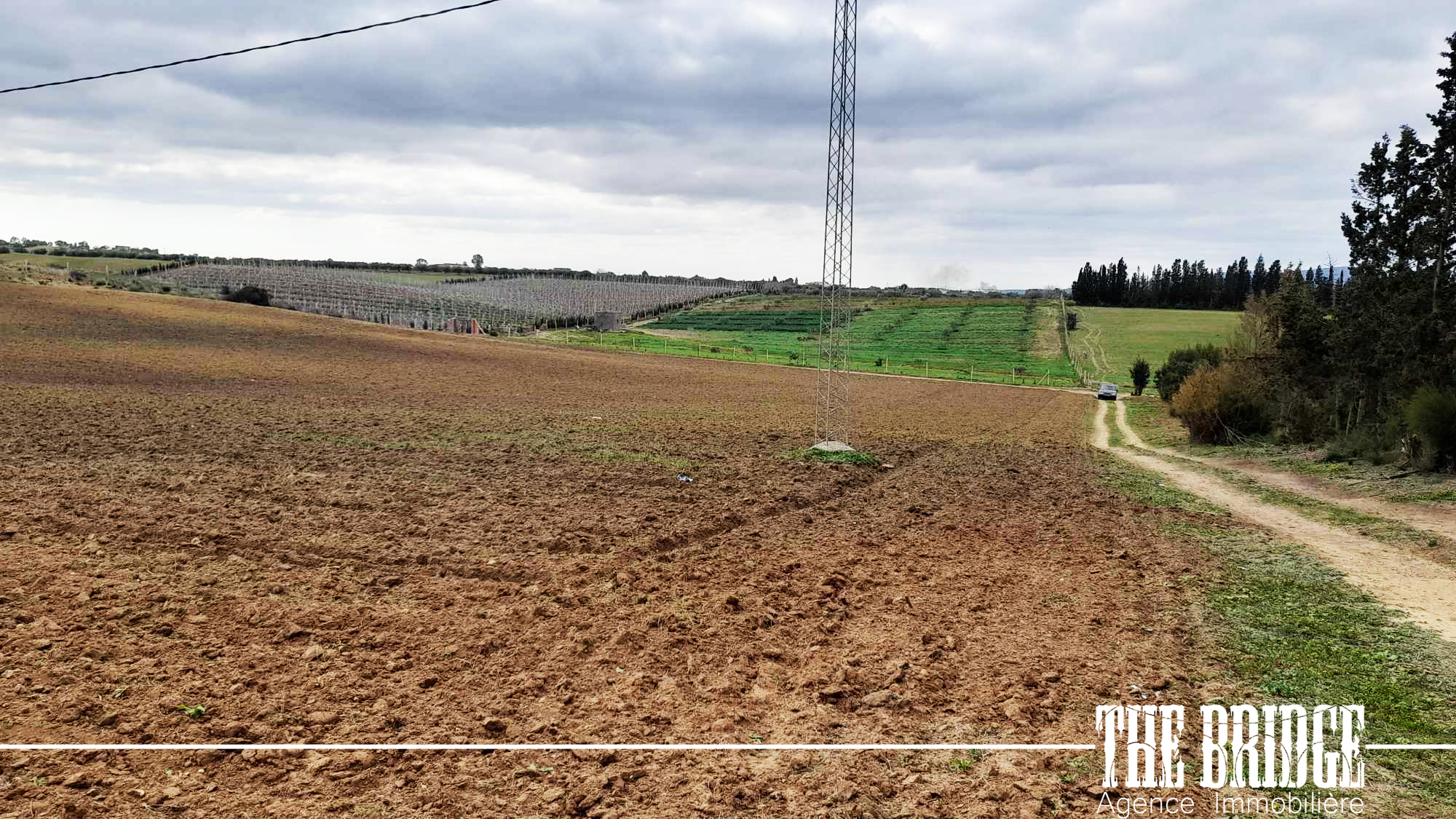     11 500 mc nu à boua à Nabeul - Photo 3