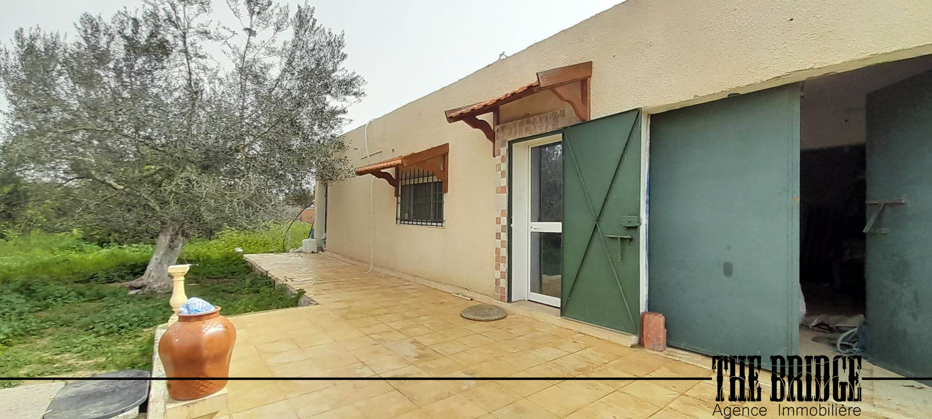     Un hectare dagrumes à Nabeul - Photo 2