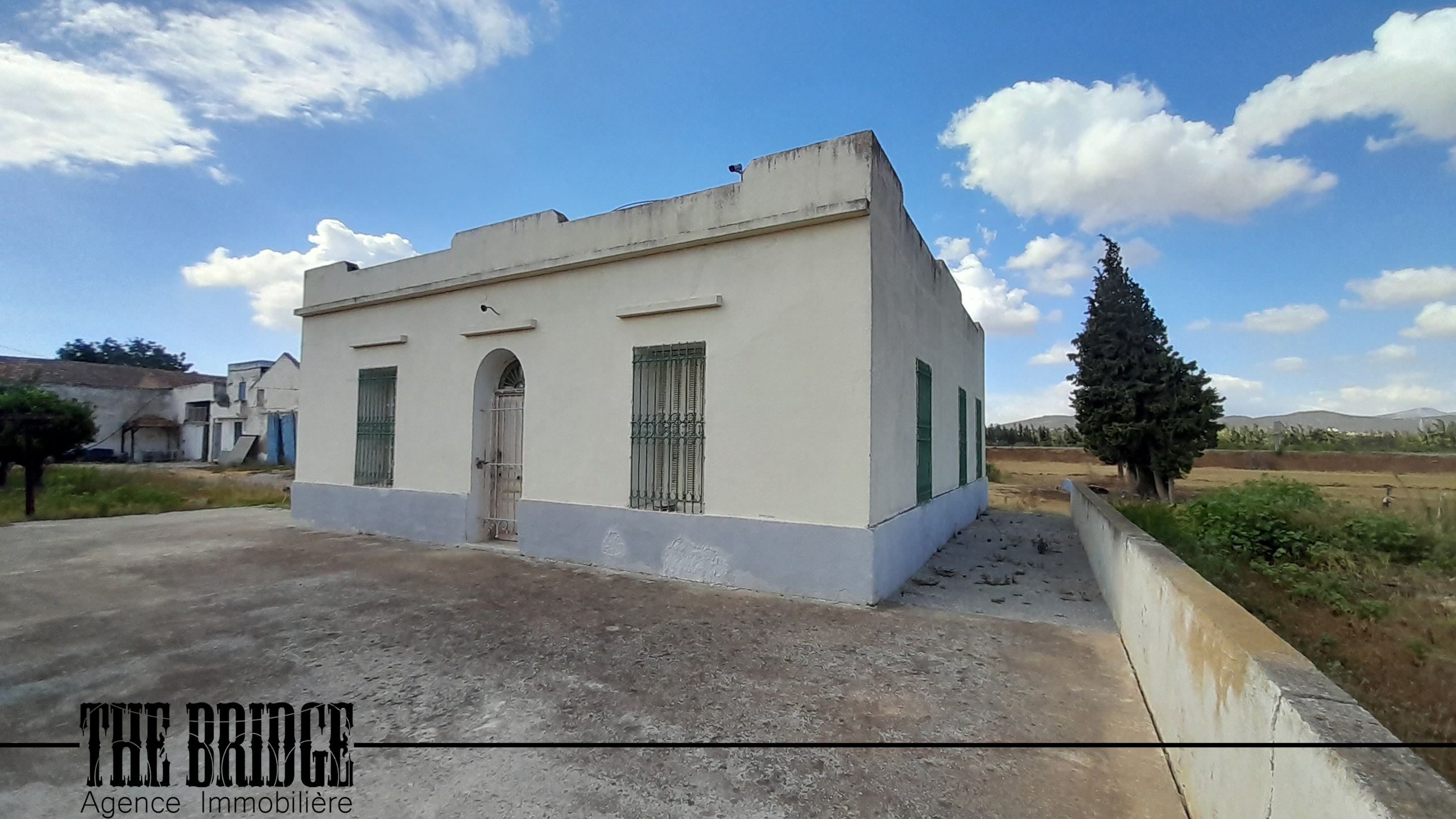     3 hectares à belli à Nabeul - Photo 3