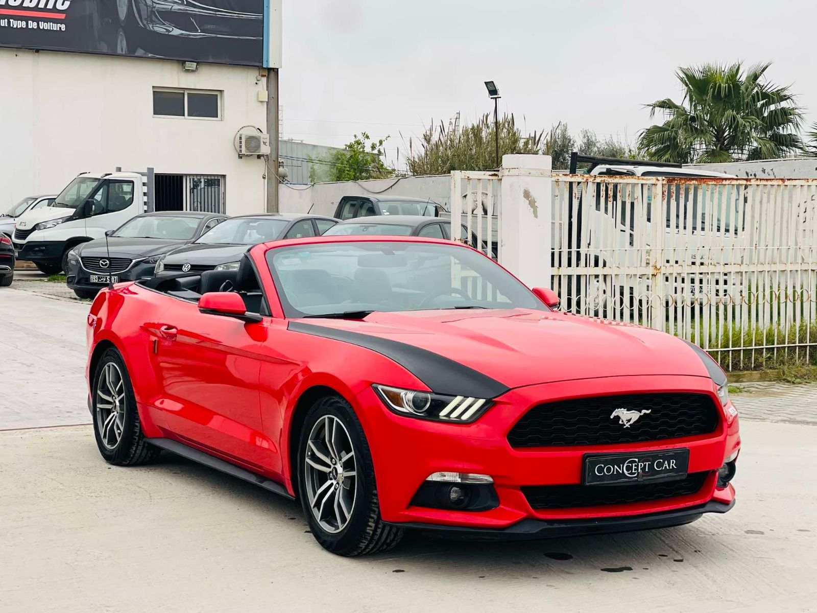 Ford Mustang à Tunis - Photo 1