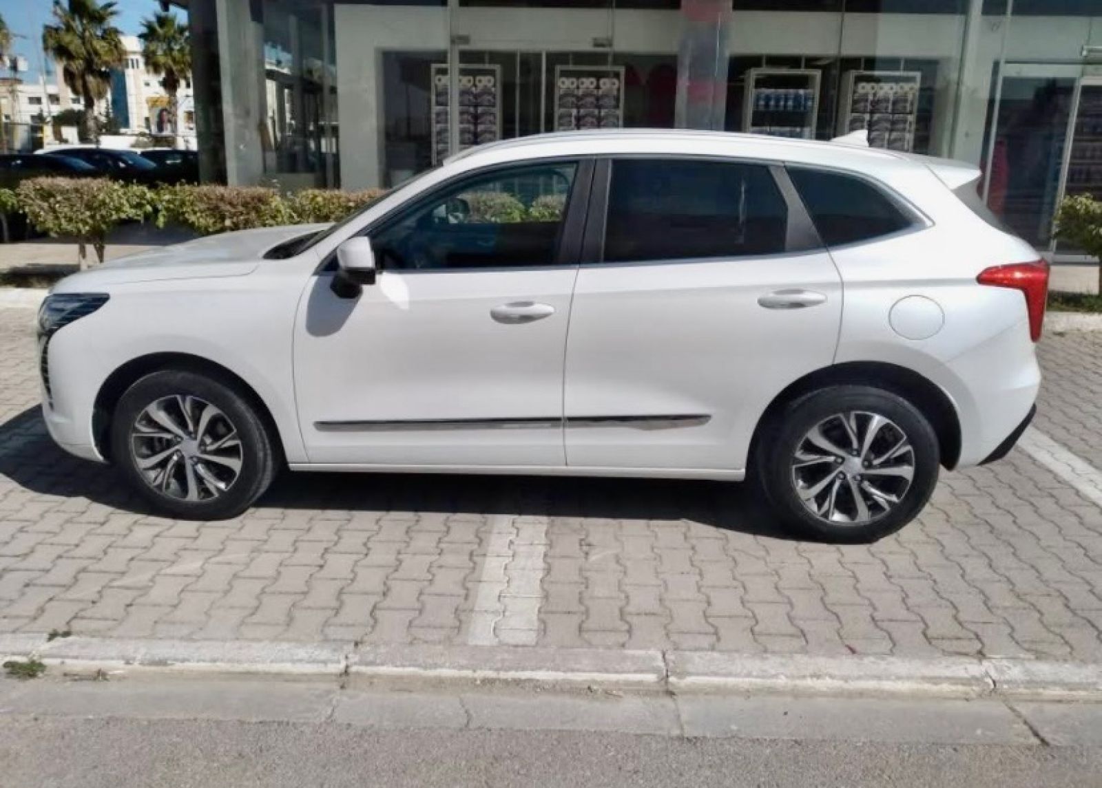 Haval Jolion à Ariana - Photo 1