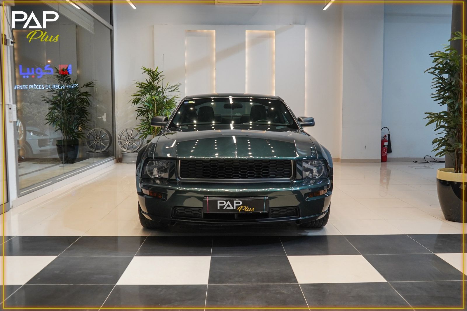 Ford Mustang à Tunis - Photo 8