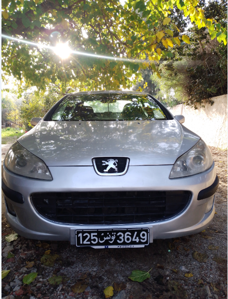 Peugeot 407 Diesel 2004 à Ben Arous - Photo 6