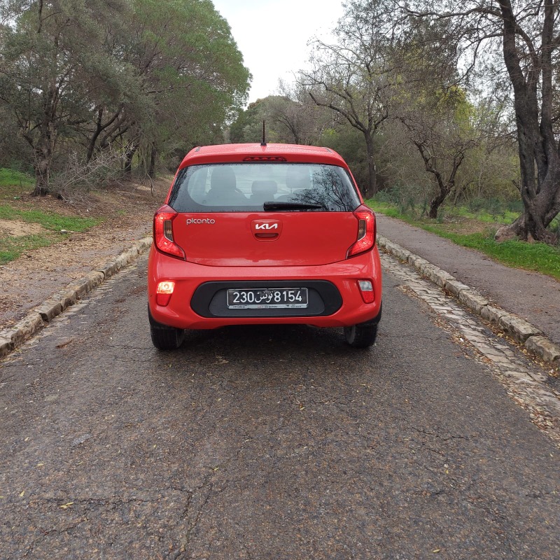 Kia PICANTO Essence 2022 à Tunis - Photo 4