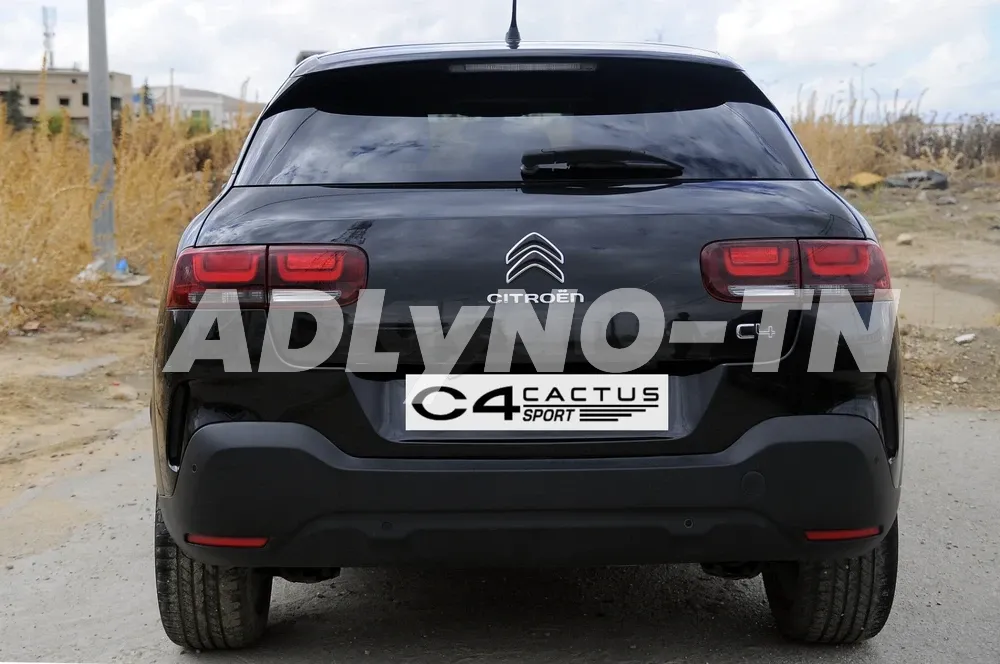 c4 cactus à Tunis - Photo 5