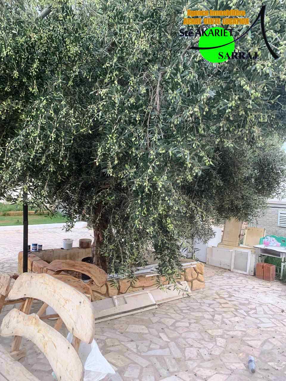    Senia clôturé entre kala à sousse - Photo 3