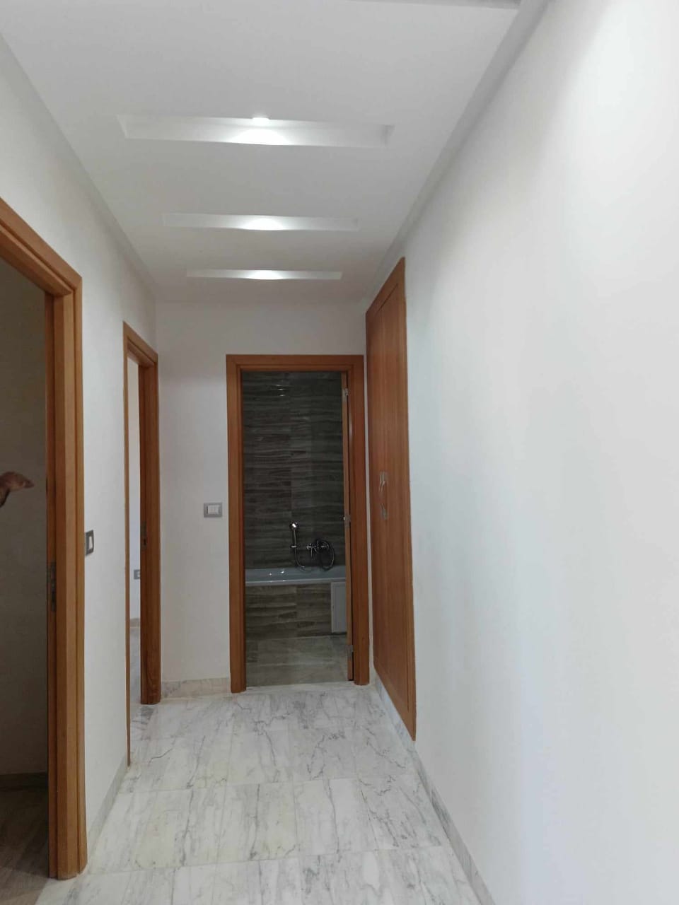    Appartement s 1 jamais h à Tunis - Photo 1