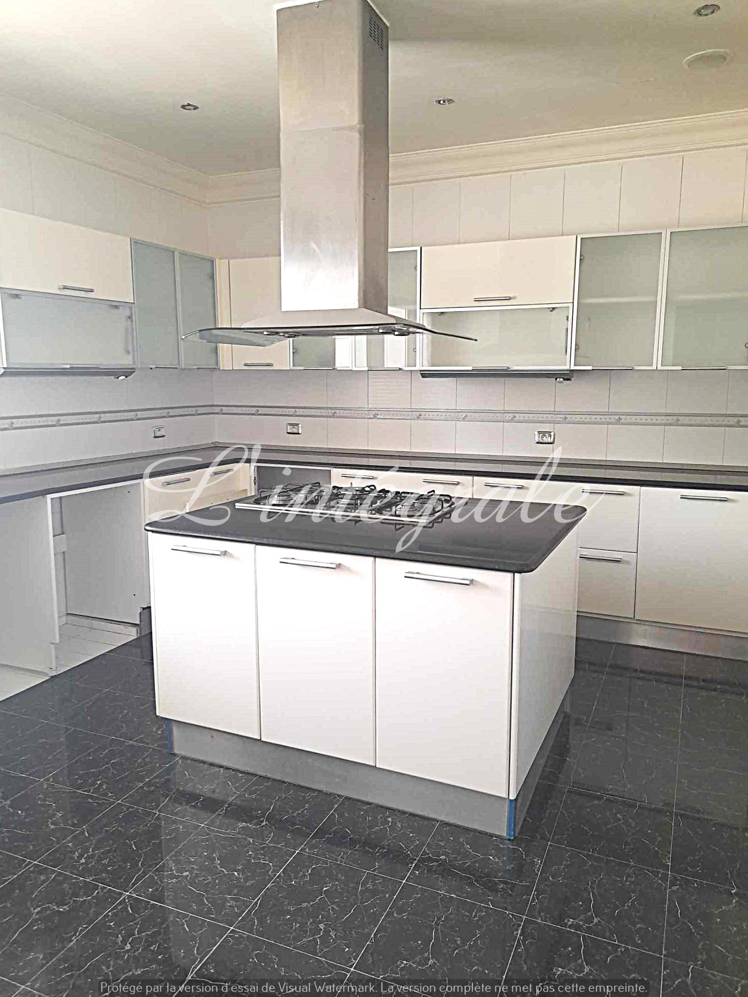    Duplex penthouse de très à Tunis - Photo 3