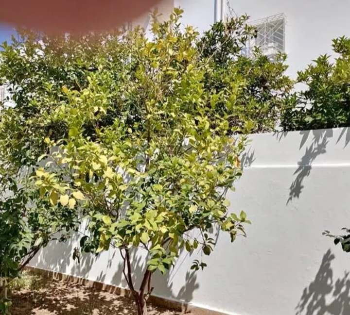  Appartement "Louana" à la Marina Yasmine Hammamet 