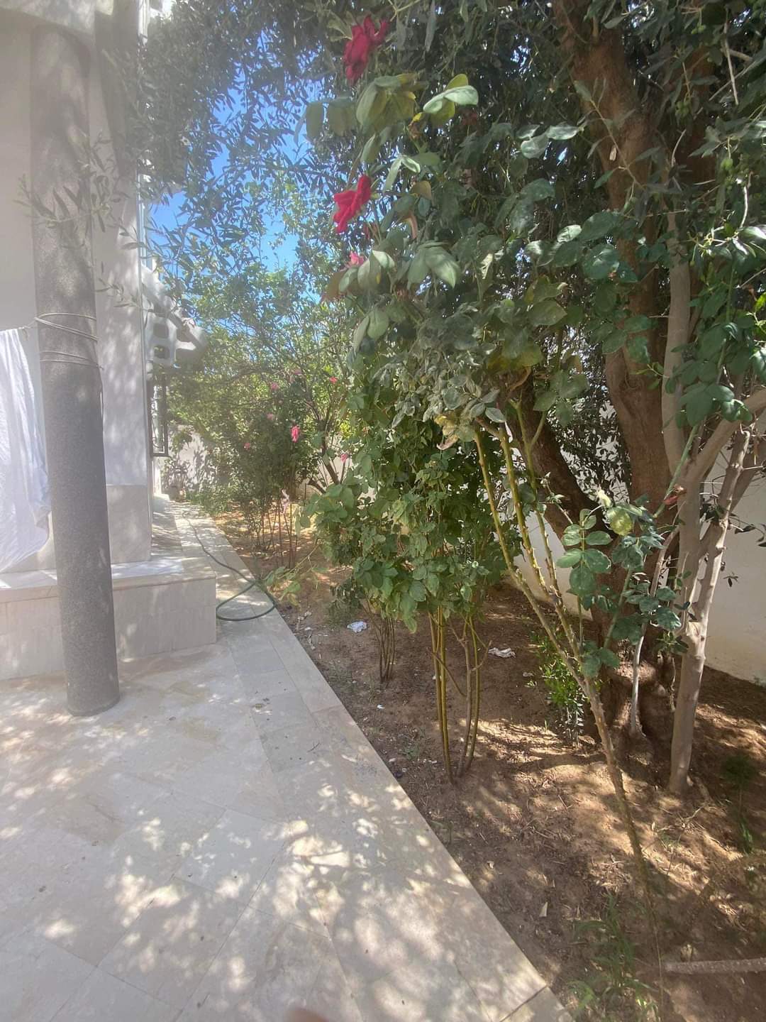    Rez de chaussée de villa à Ariana - Photo 1