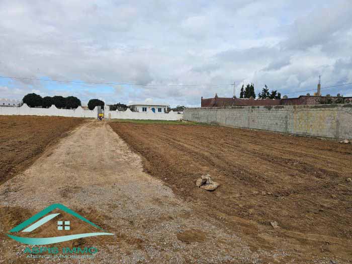  UN TERRAIN AGRICOLE 