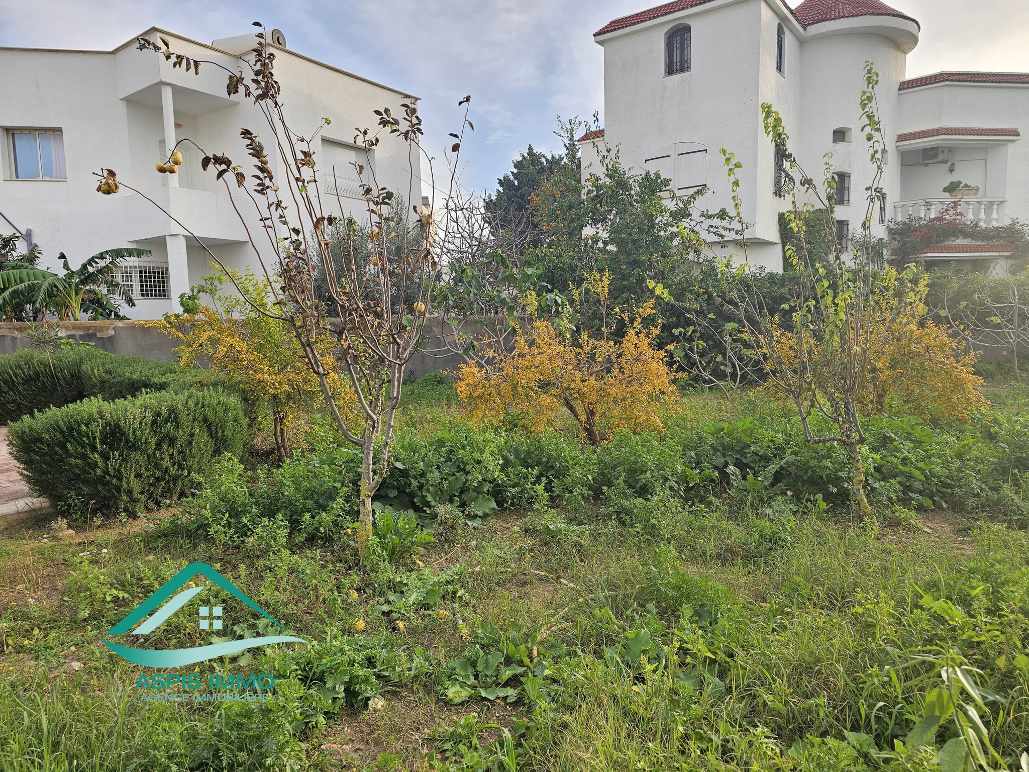    Terrain 220 m2 à petit p à Nabeul - Photo 4