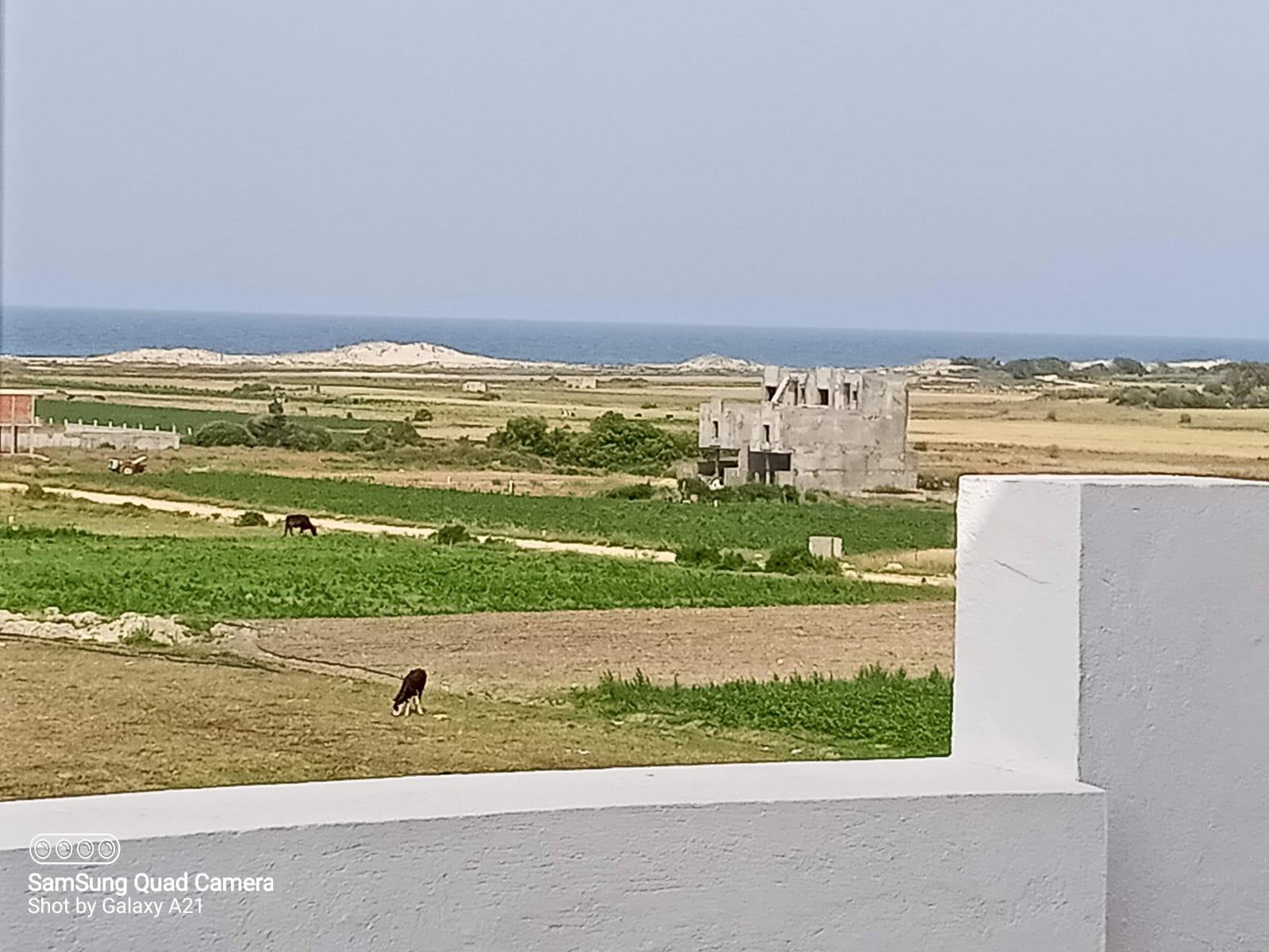    Charmante villa avec pis à Nabeul - Photo 1