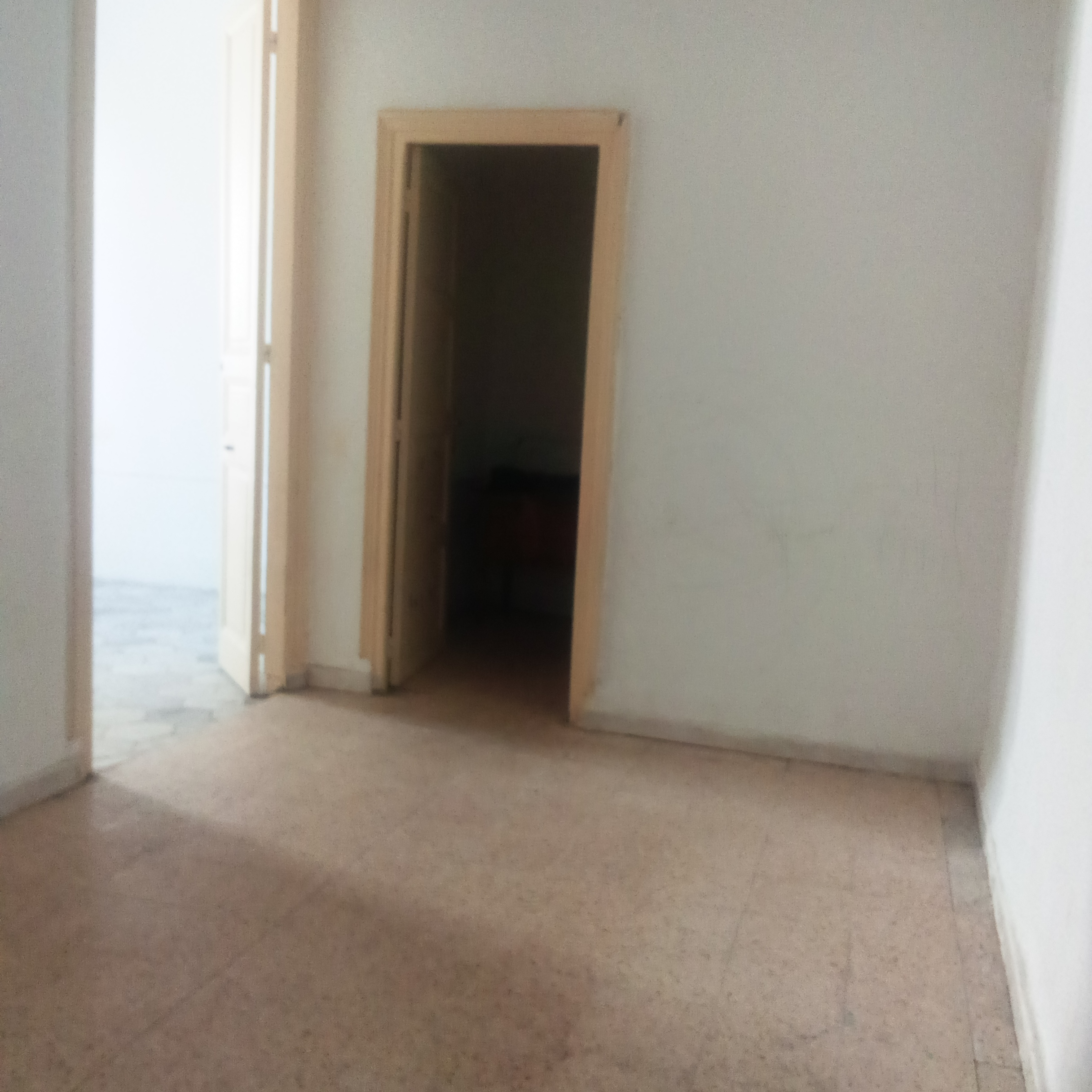    Un hall 2 beb el khadra à Tunis - Photo 2