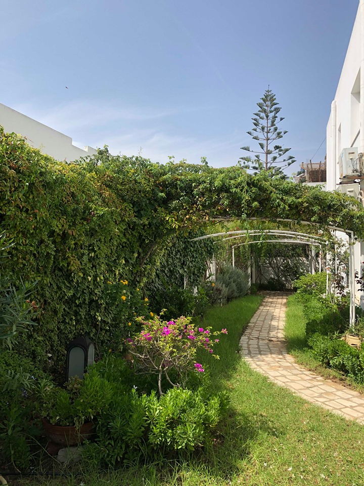    Villa avec jardin et pis à Tunis - Photo 4