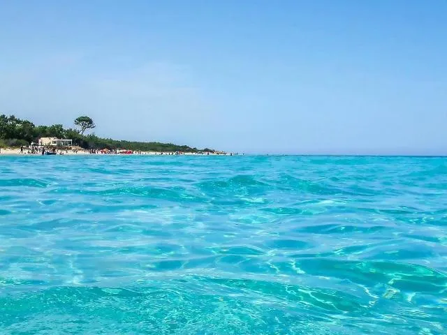 Un vaste S+3 à boukhris Bizerte