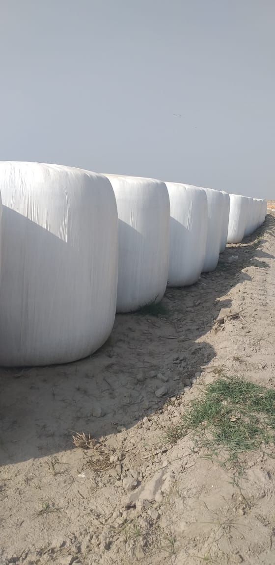    Distributeur agrée à Tunis - Photo 4
