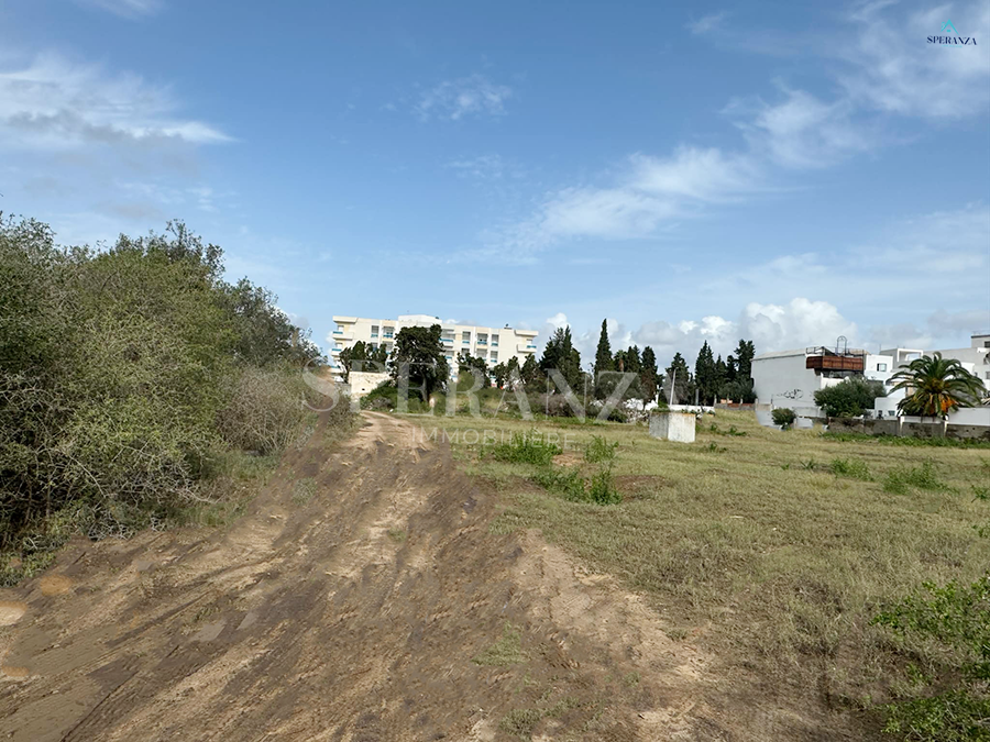    Terrain citronnier à Nabeul - Photo 1