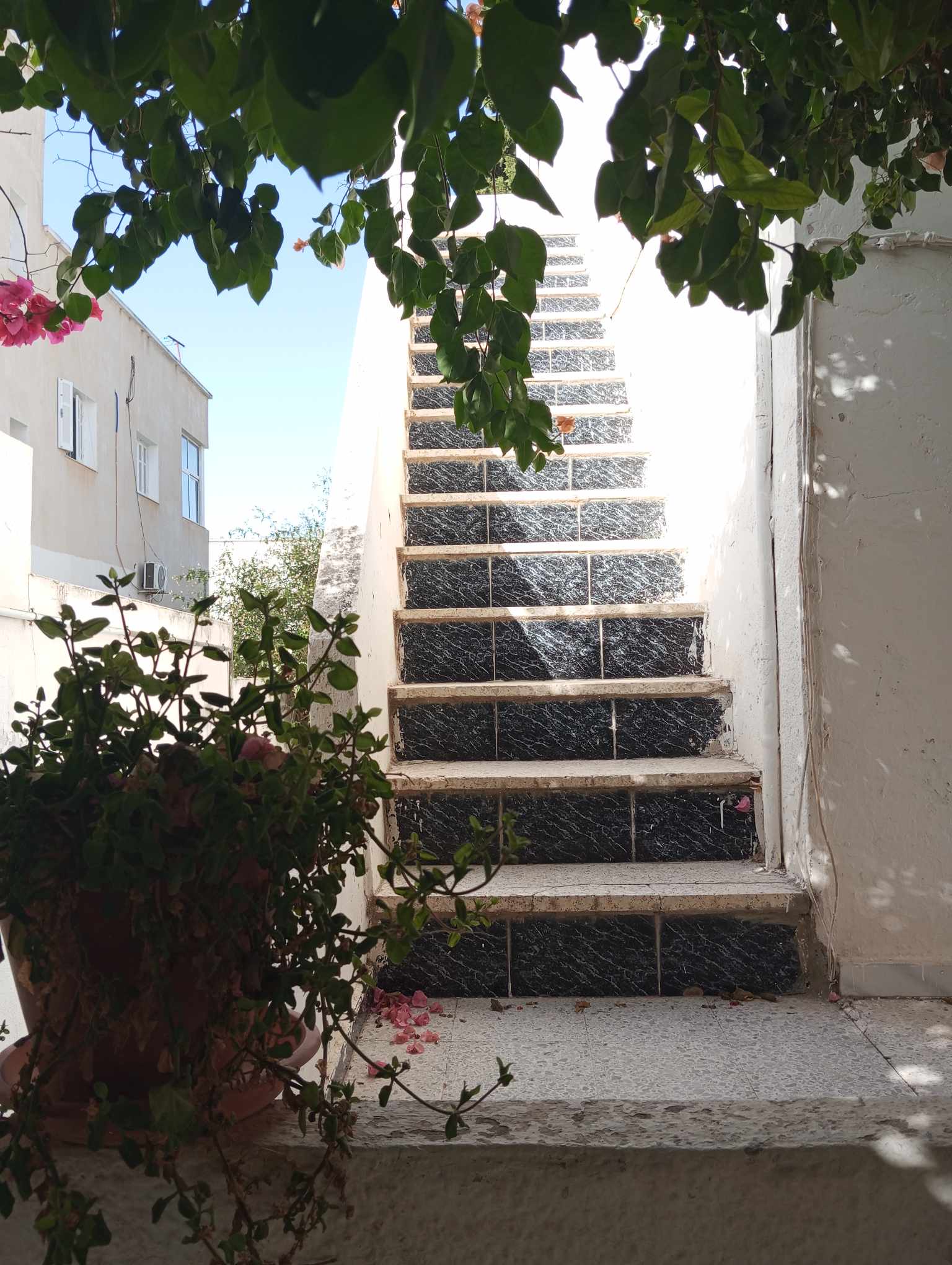    Villa a el ouardia à Tunis - Photo 2