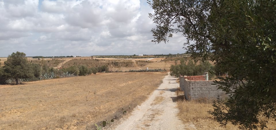    440 à sidi hammed à 5km à Nabeul - Photo 1