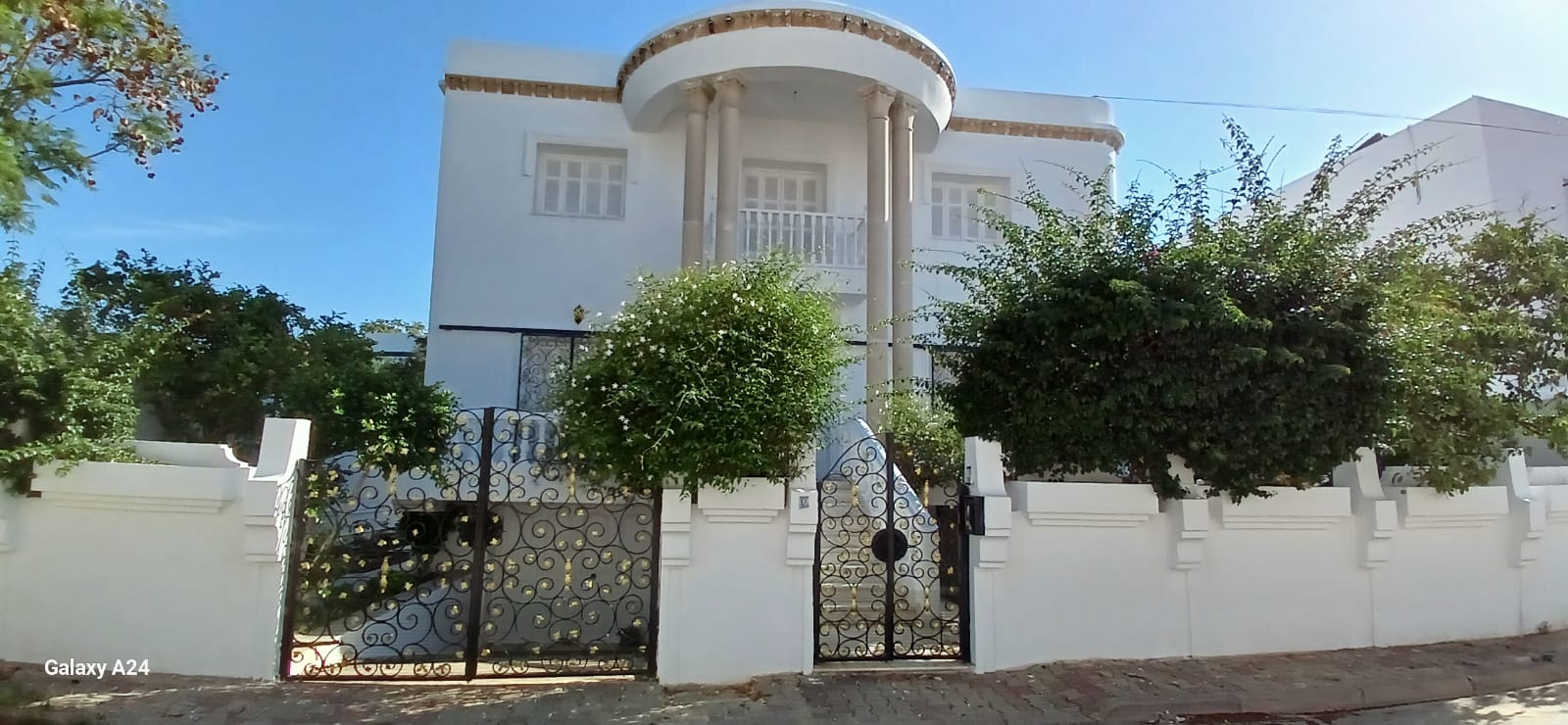    Une belle villa style am à Tunis - Photo 1