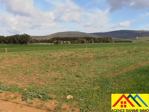    Terrain agricole 1h et 5 à Nabeul - Photo 1