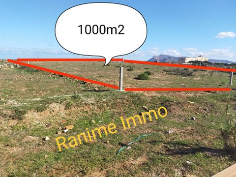  Bonne affaire de 1000 m² agricole 