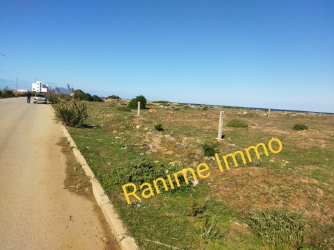   Terrain de 1000m2 pieds à Nabeul - Photo 1
