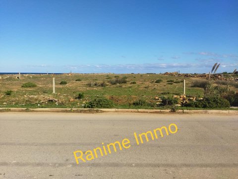    Terrain de 1000m2 pieds à Nabeul - Photo 3