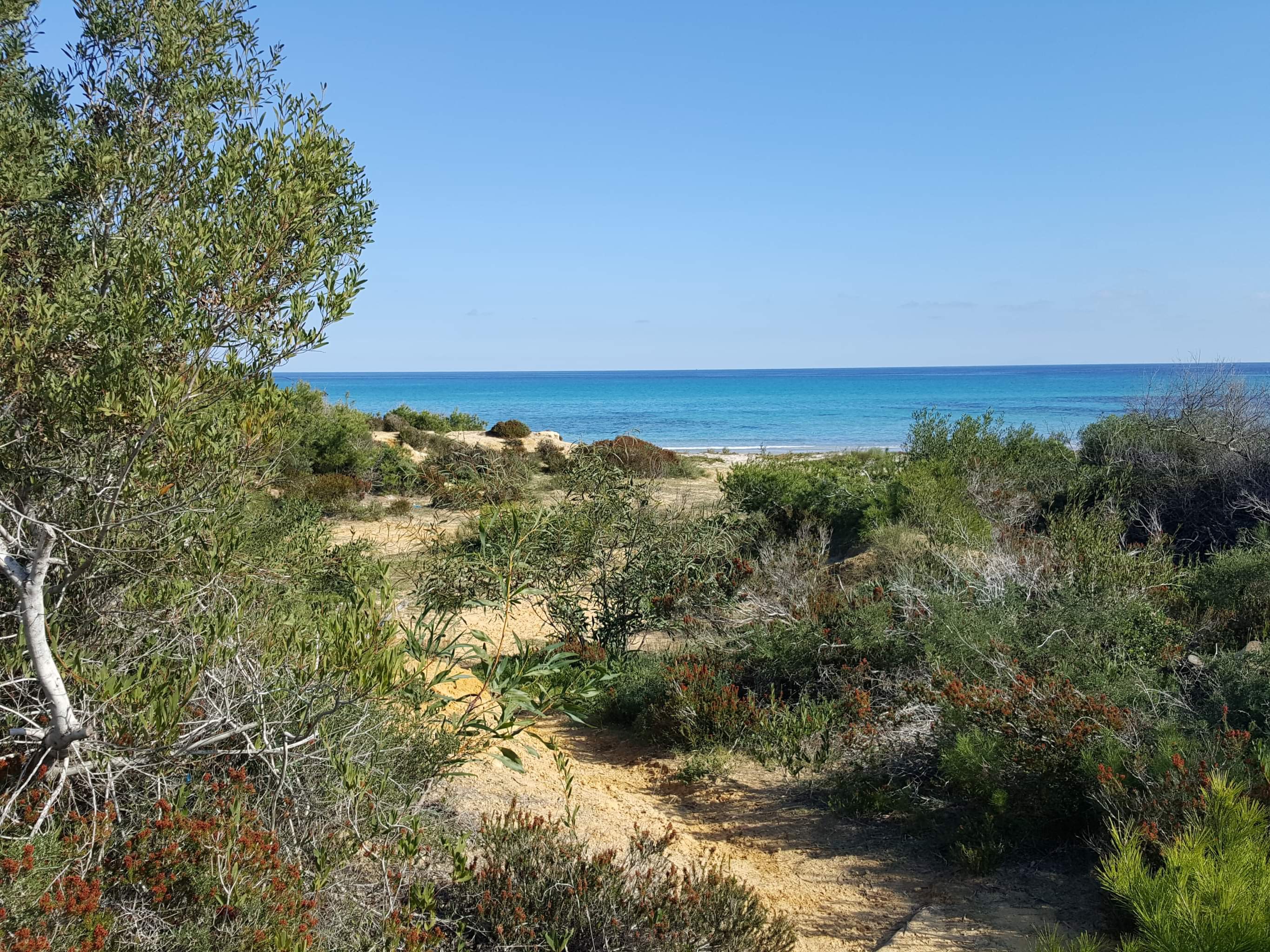 Villa S+4 à Gremda km3