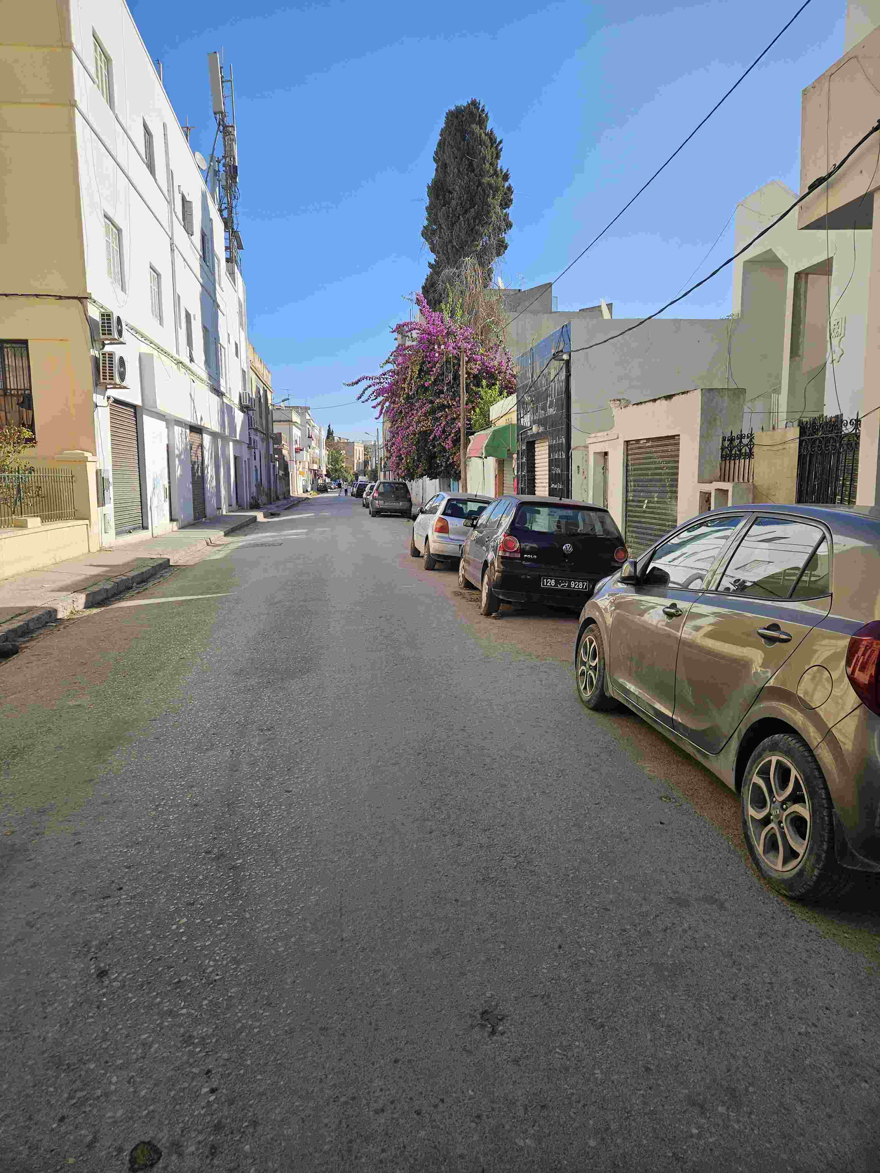    Maison et studio et maga à Tunis - Photo 1