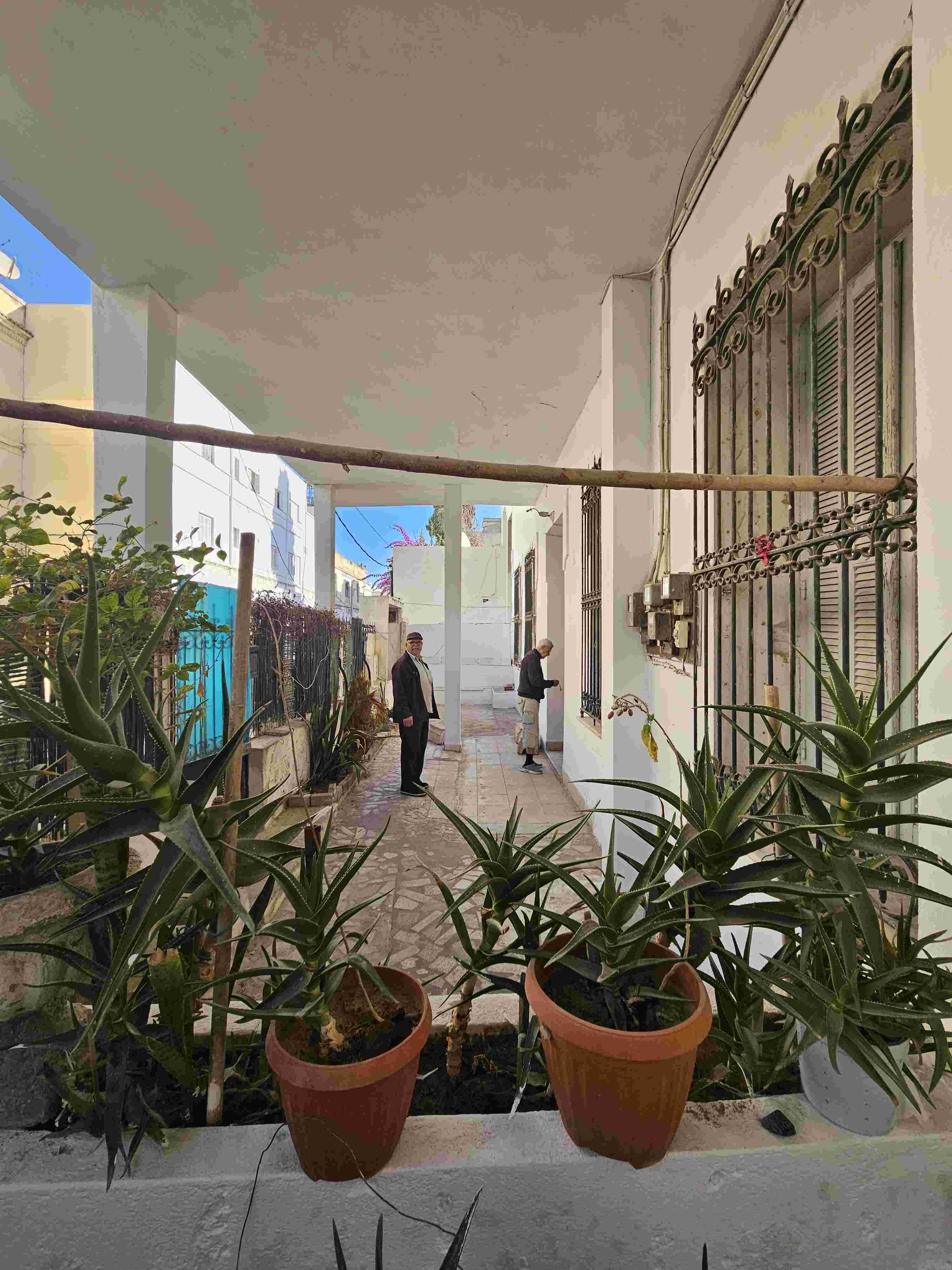    Maison et studio et maga à Tunis - Photo 2
