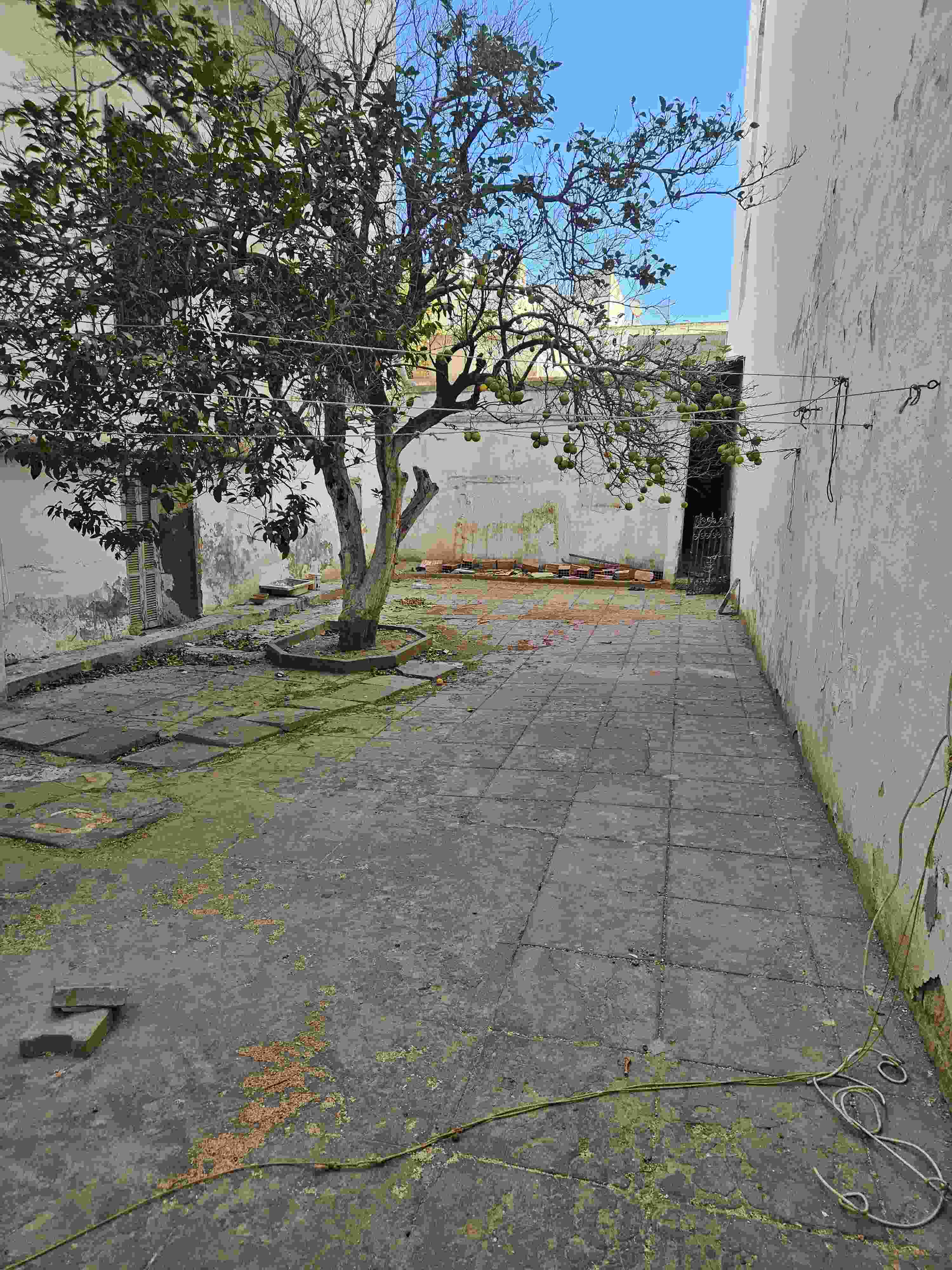    Maison et studio et maga à Tunis - Photo 4