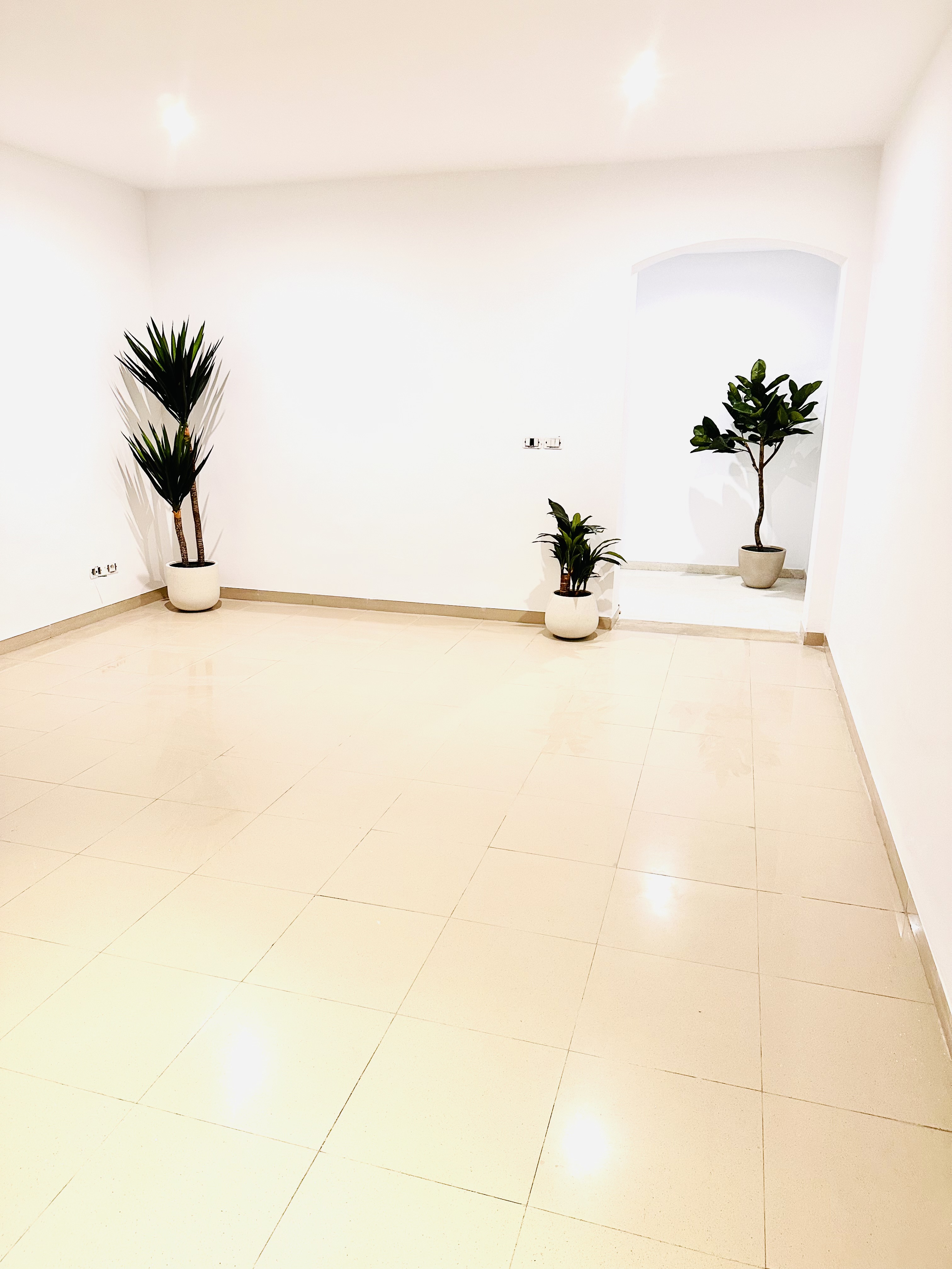    Appartement s3 spacieux à Tunis - Photo 1