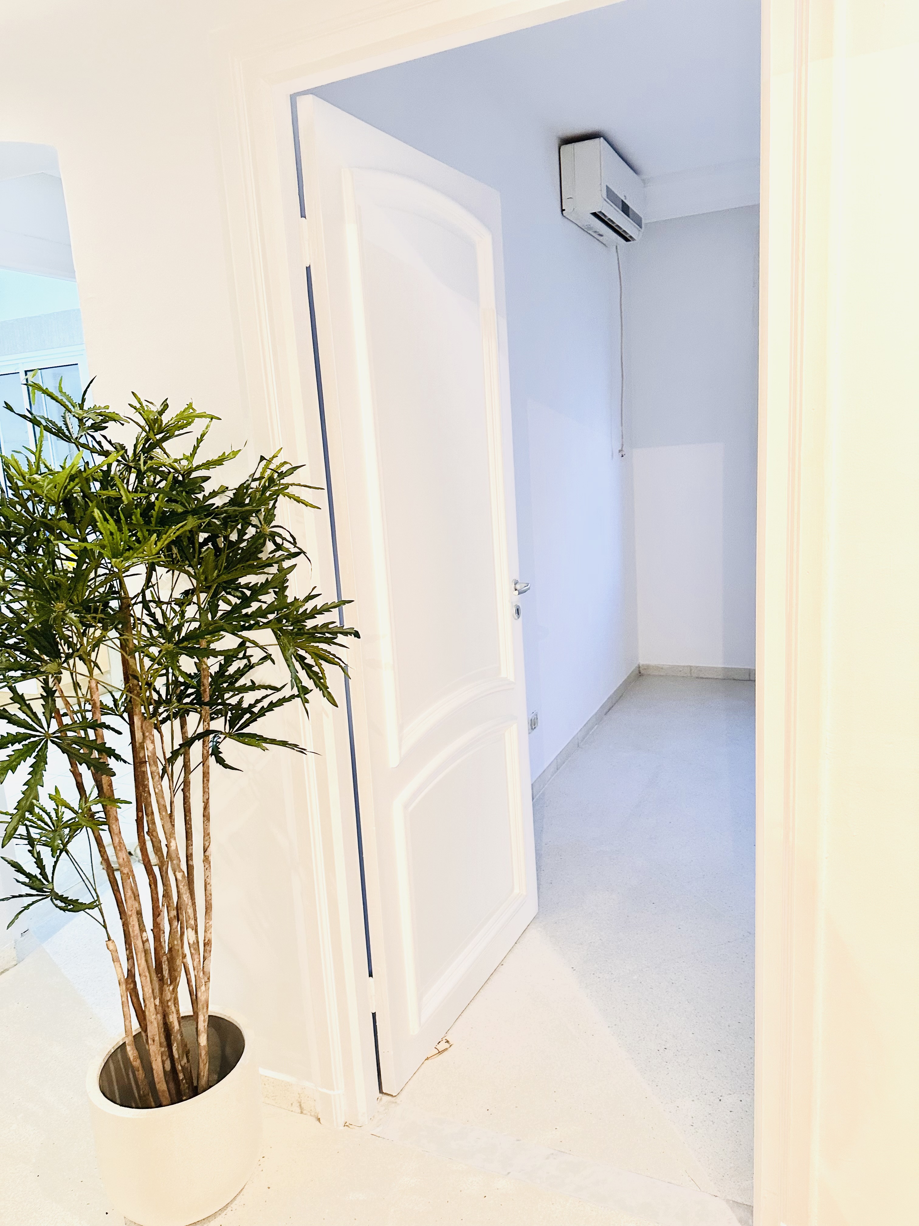    Appartement s3 spacieux à Tunis - Photo 3