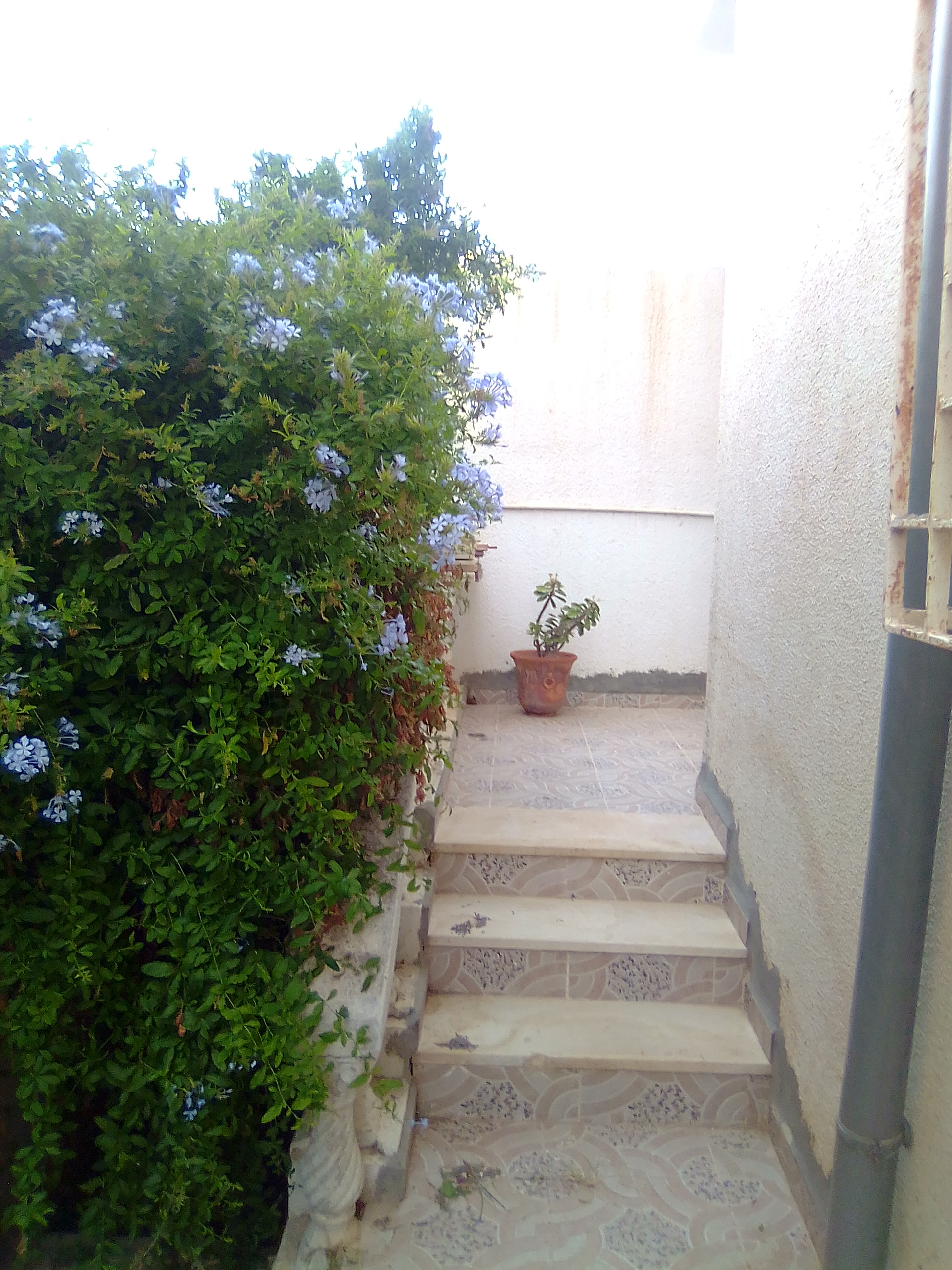    Studio gammarth à Tunis - Photo 1