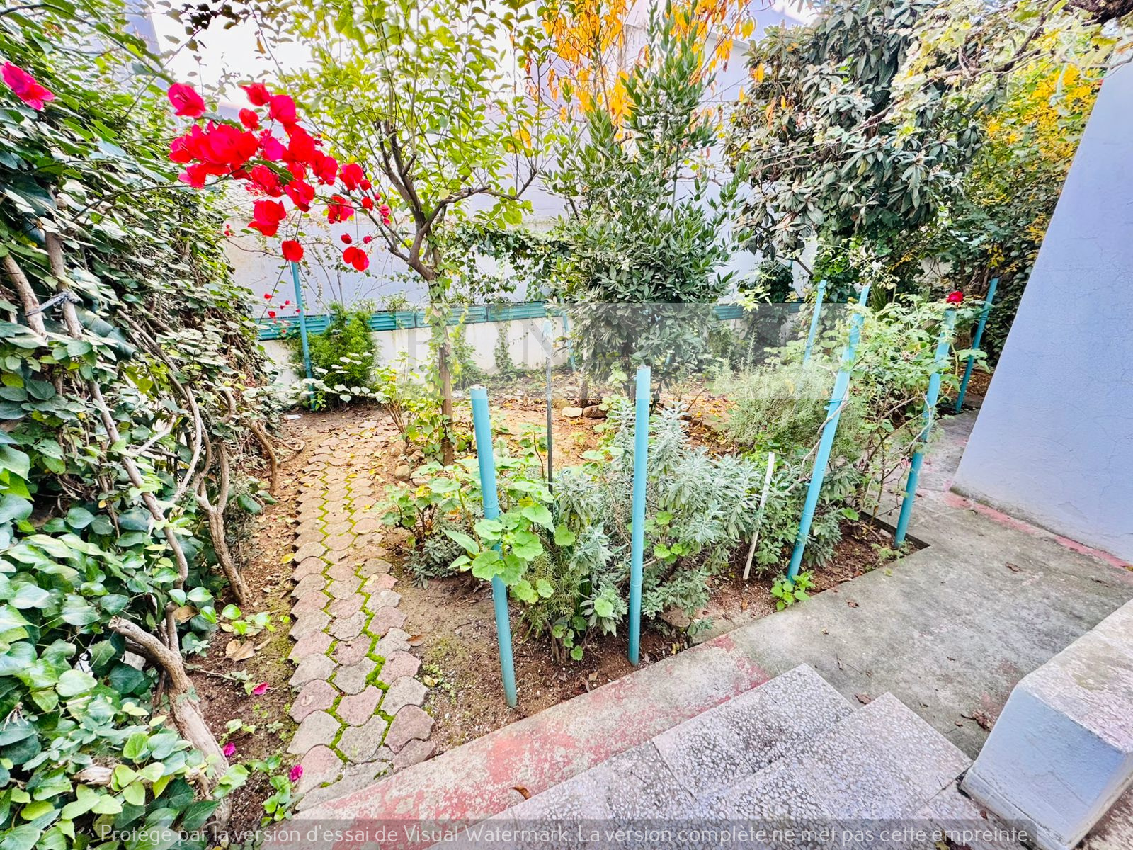    S2 avec jardin à montfle