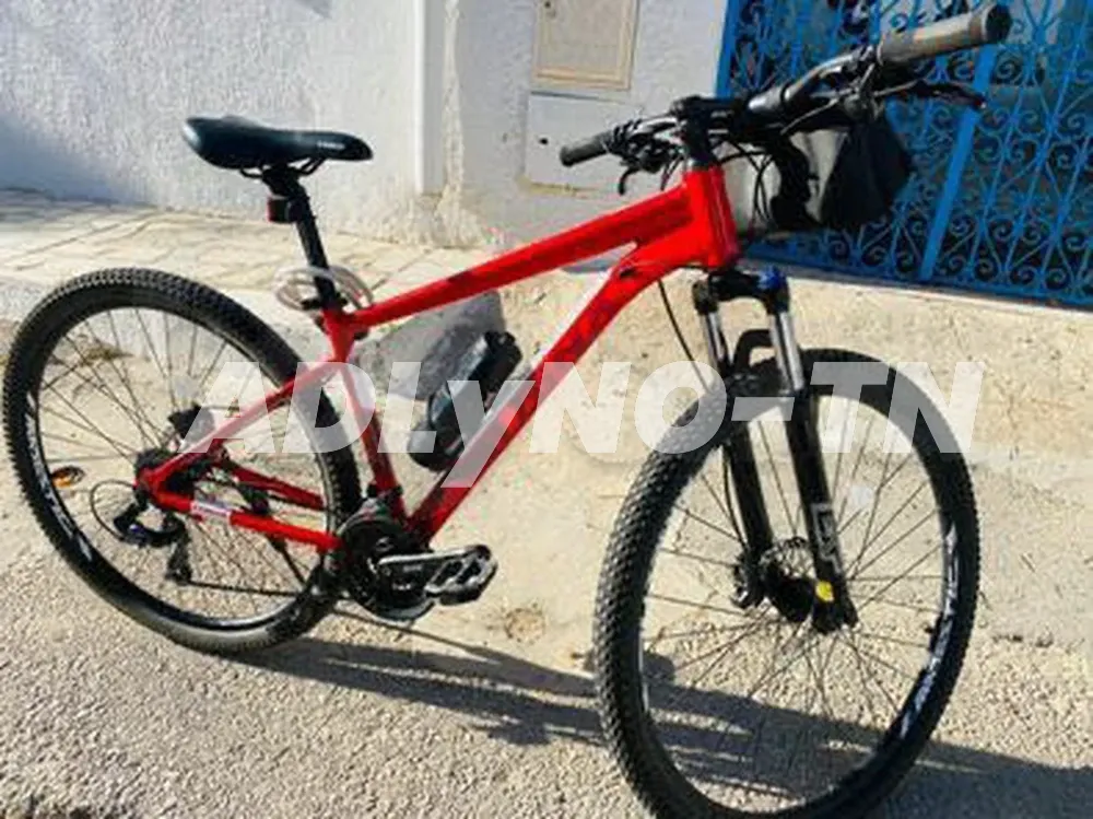 vélo trinx m600 pro à Nabeul - Photo 1
