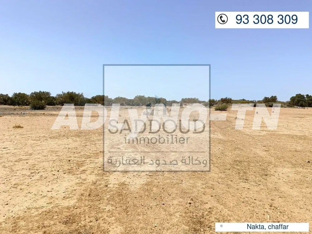 للبيع قطع ارض مرخصة للبناء مساحة من: 420م² الى 550م² بنقطة, طريق قابس كم 22 à Sfax - Photo 5