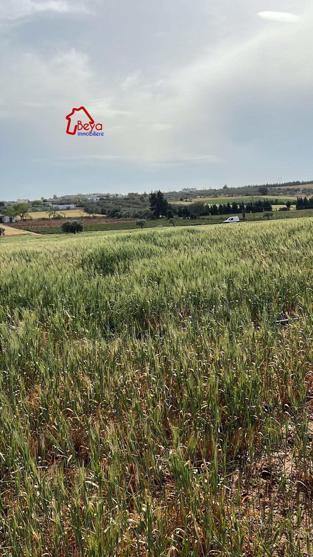     Terrain frida à cart