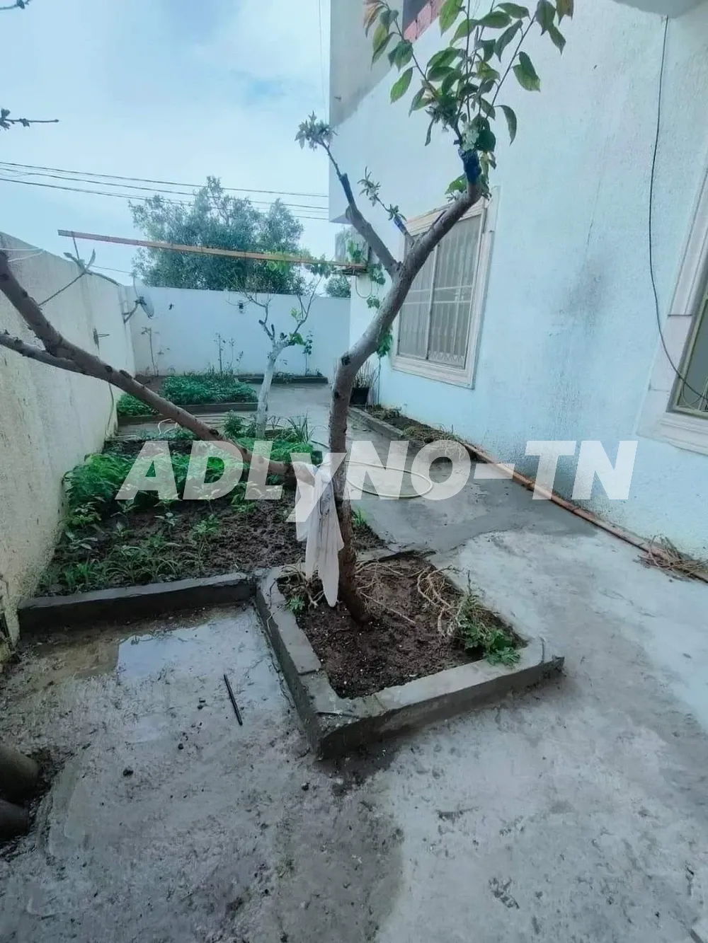 une villa a cite ryadh kelibia à Nabeul - Photo 4