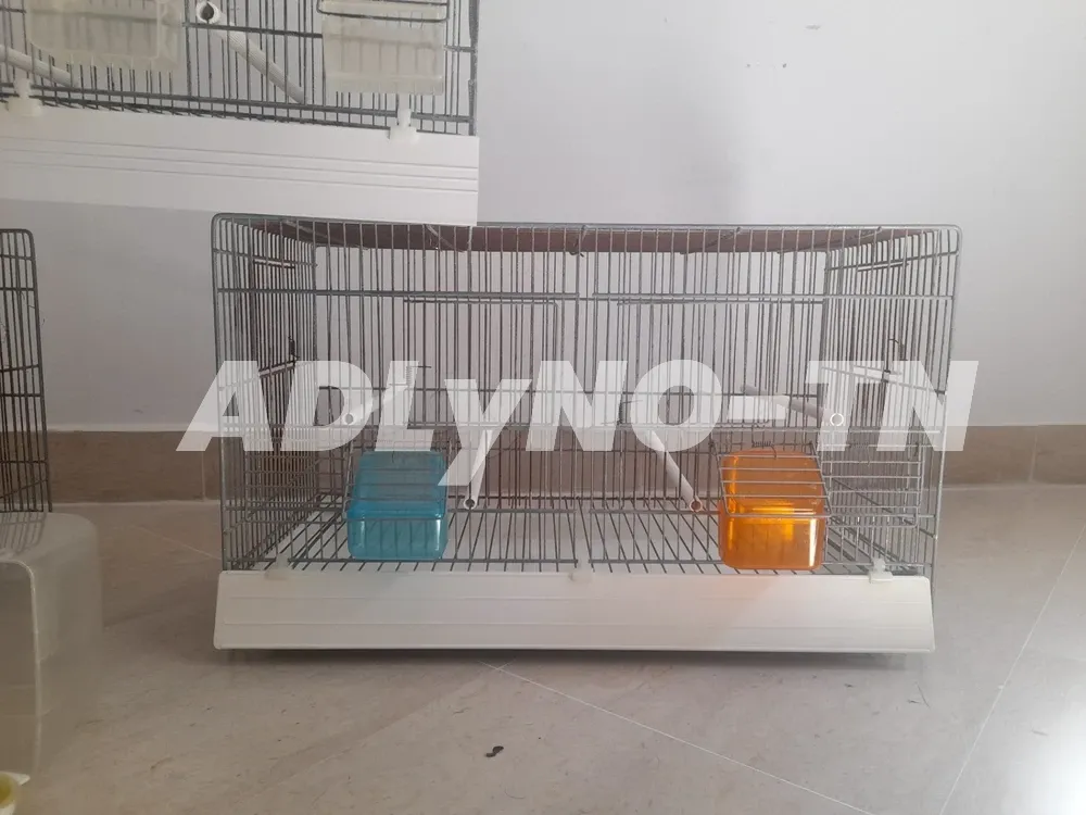3 Cages oiseaux à vendre à Tunis - Photo 2