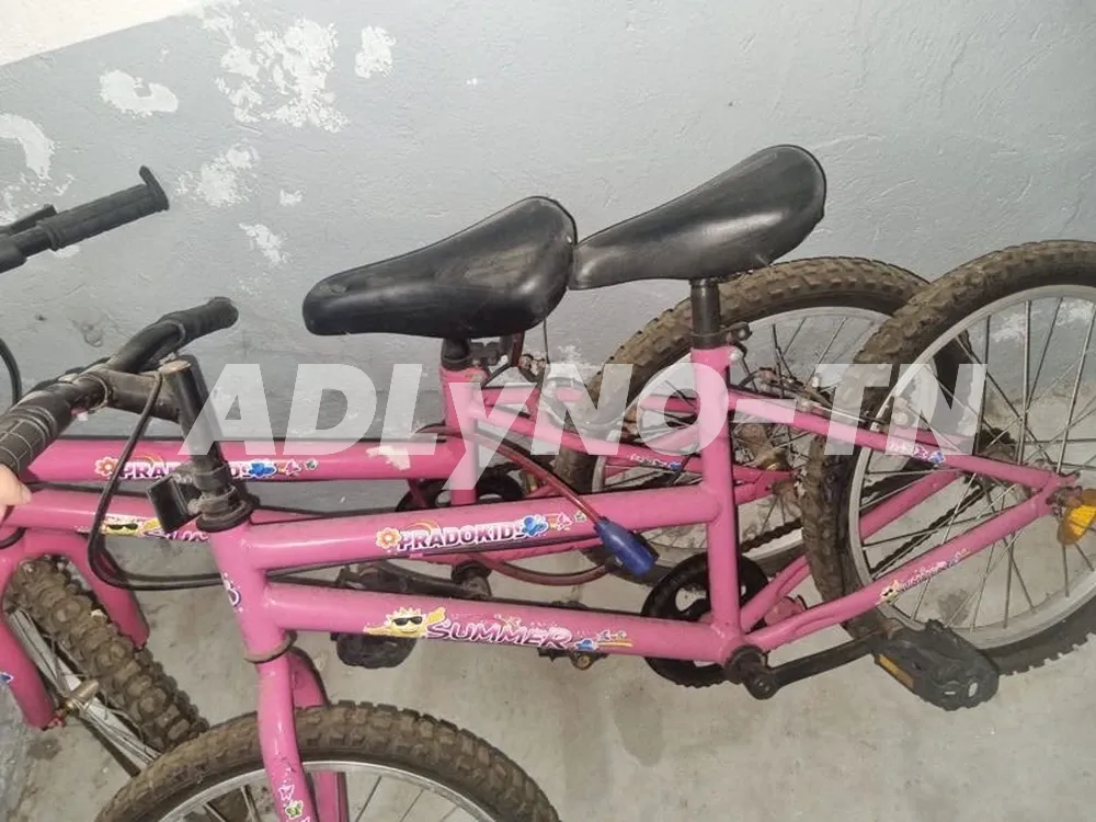 Vélos à Tunis - Photo 3
