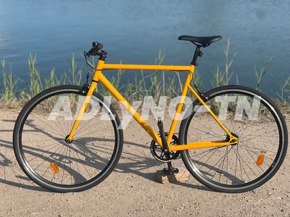 2 vélos à Tunis - Photo 2