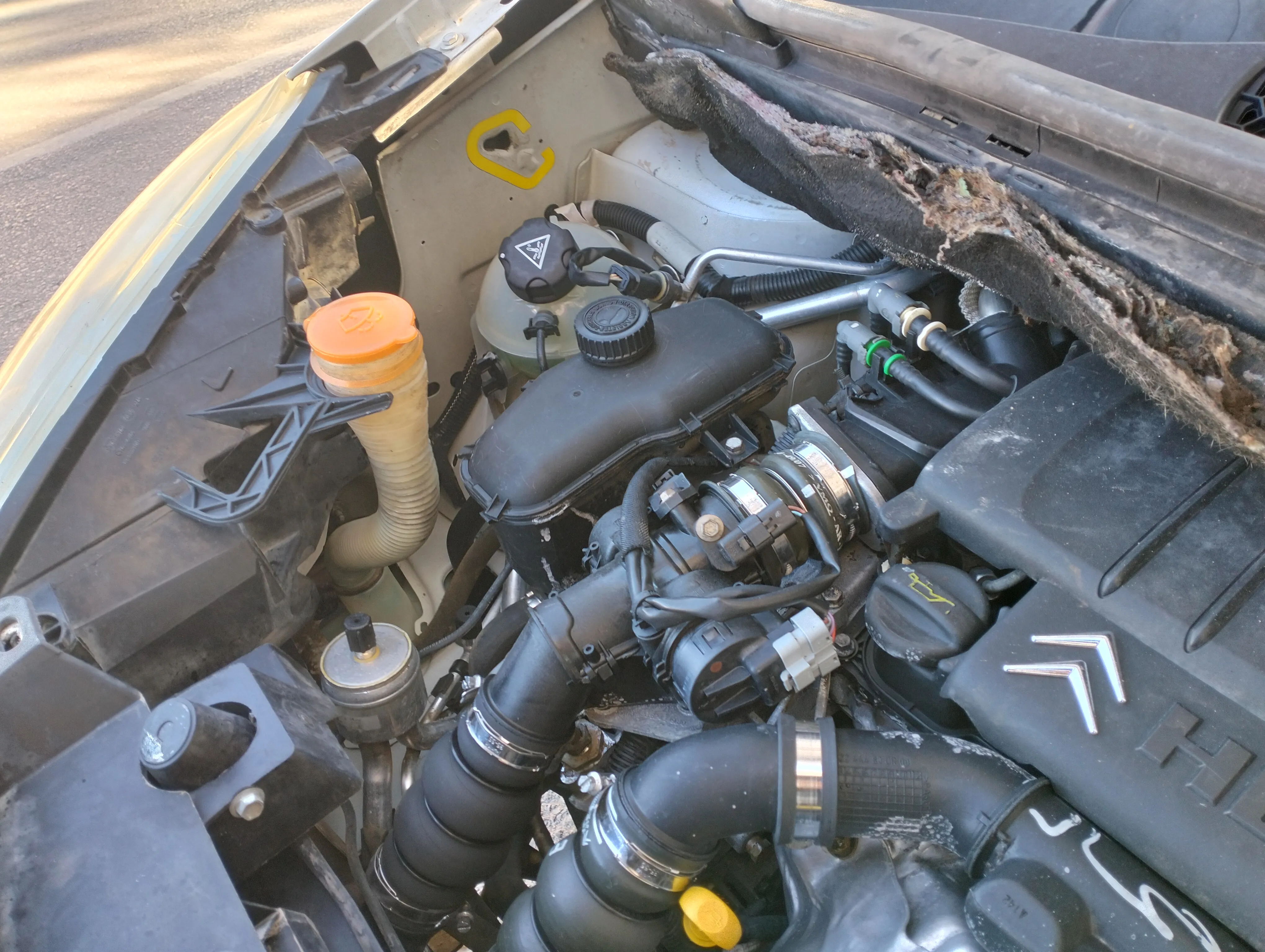 Berlingo b9 à Monastir - Photo 15